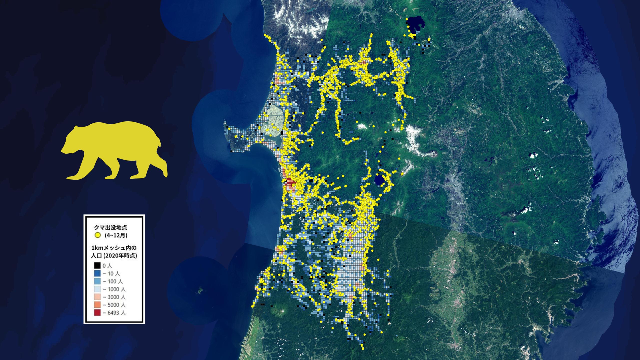 出所 : 人口メッシュ=e-Stat|国勢調査2020年 3次メッシュ (1km), 背景地図=国土地理院|地理院タイル 全国最新写真 (シームレス), クマ出没地点=秋田県庁提供