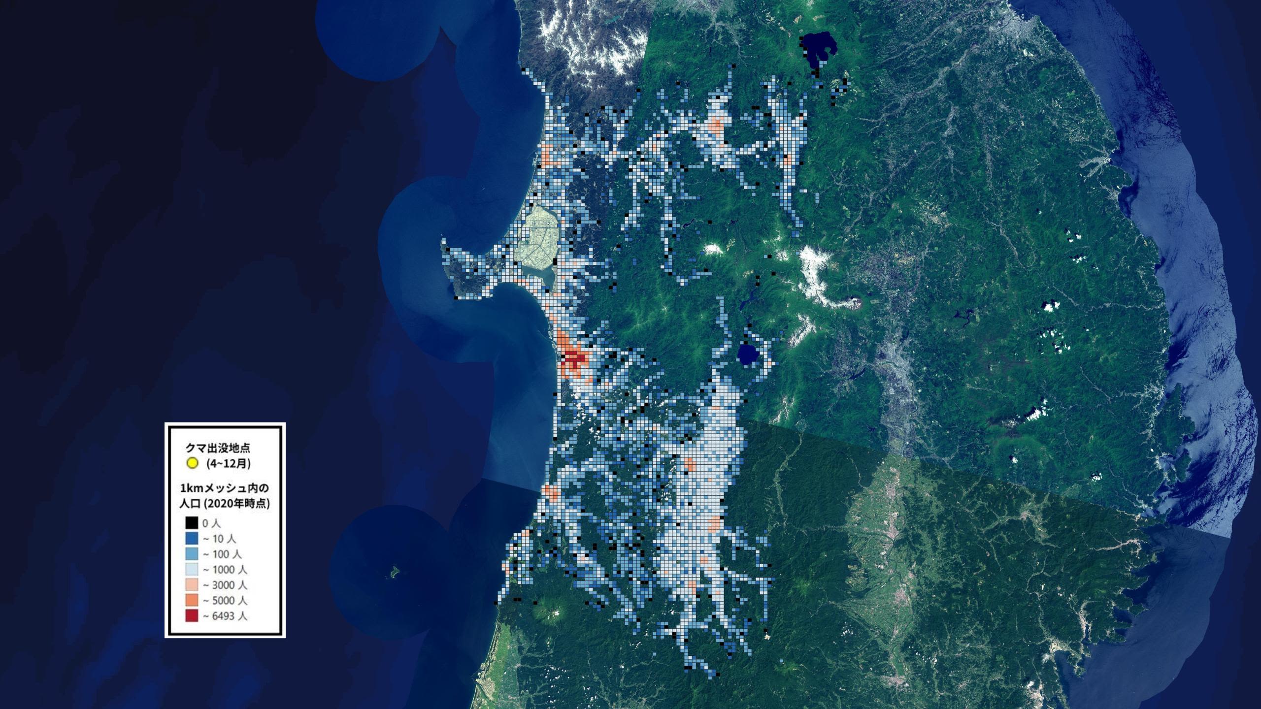 出所 : 人口メッシュ=e-Stat|国勢調査2020年 3次メッシュ (1km), 背景地図=国土地理院|地理院タイル 全国最新写真 (シームレス), クマ出没地点=秋田県庁提供